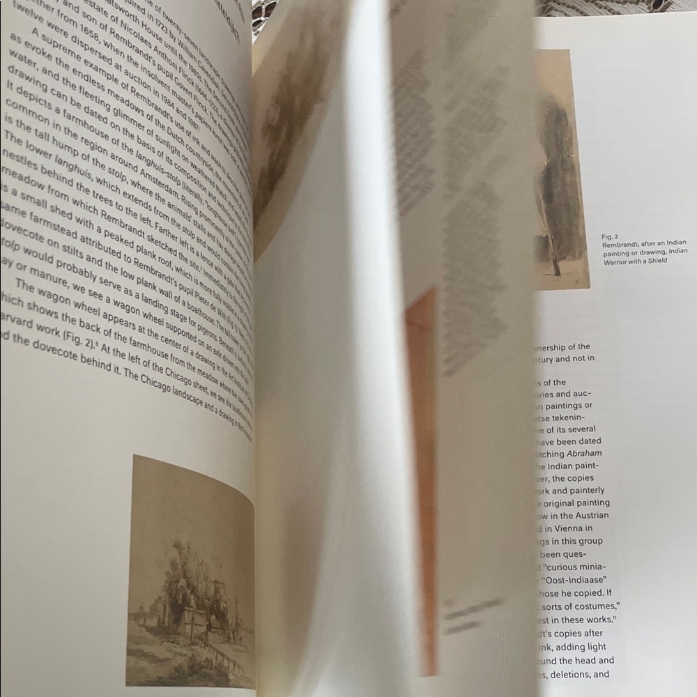 Hardcover- Drawings from the Age of Bruegel, Rubens, and Rembrandt Heavy New - Picture 5 of 14